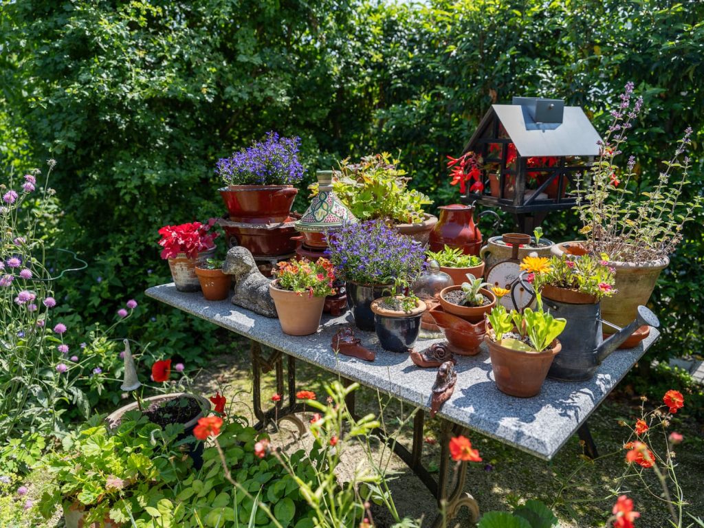 Tafel in tuin met verschillende planten.