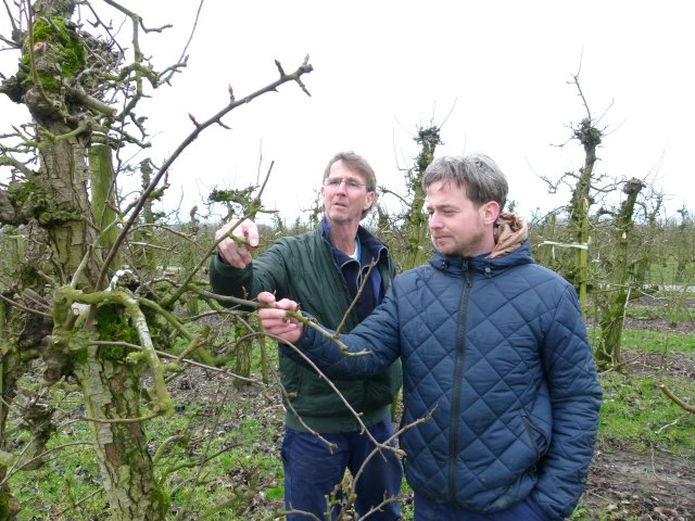 Fruittelers Theo en Joost van Diepen