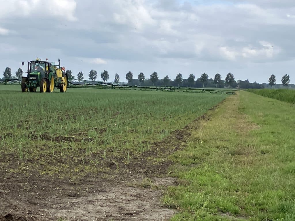 Langs de brede grasstrook tussen het uienperceel en de tocht is het gebruik van de kantdop (gewasrand) verplicht.